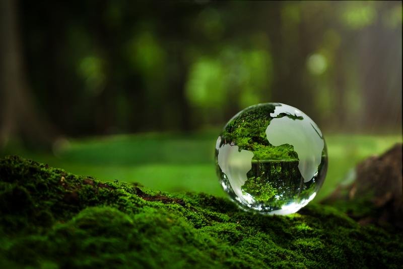 Crystal Earth On Soil In Forest With Ferns And Sunlight Enviro